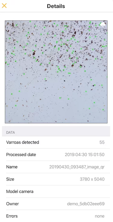 Apizoom varroa detection details