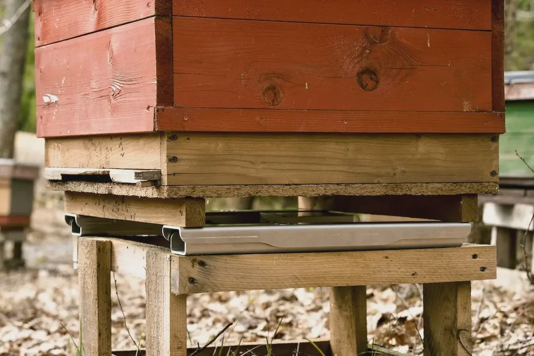 Colmenio/BeeSage hive scales