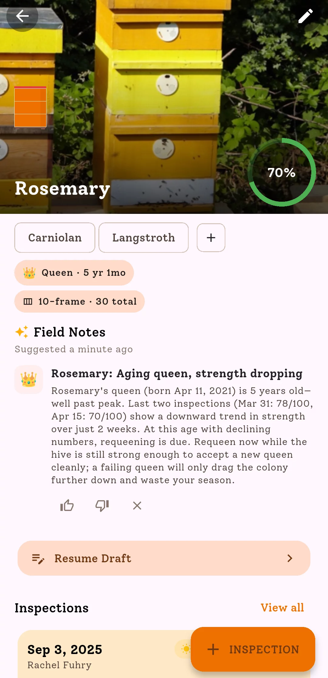HiveBloom hive detail UI