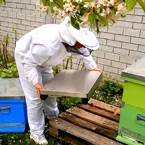 Solutionbee installation screen