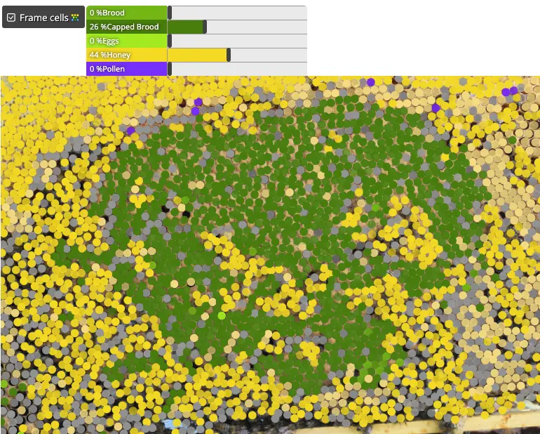 Honeycomb cell analysis