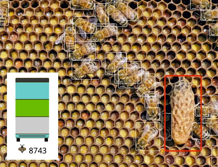 Bee count detection