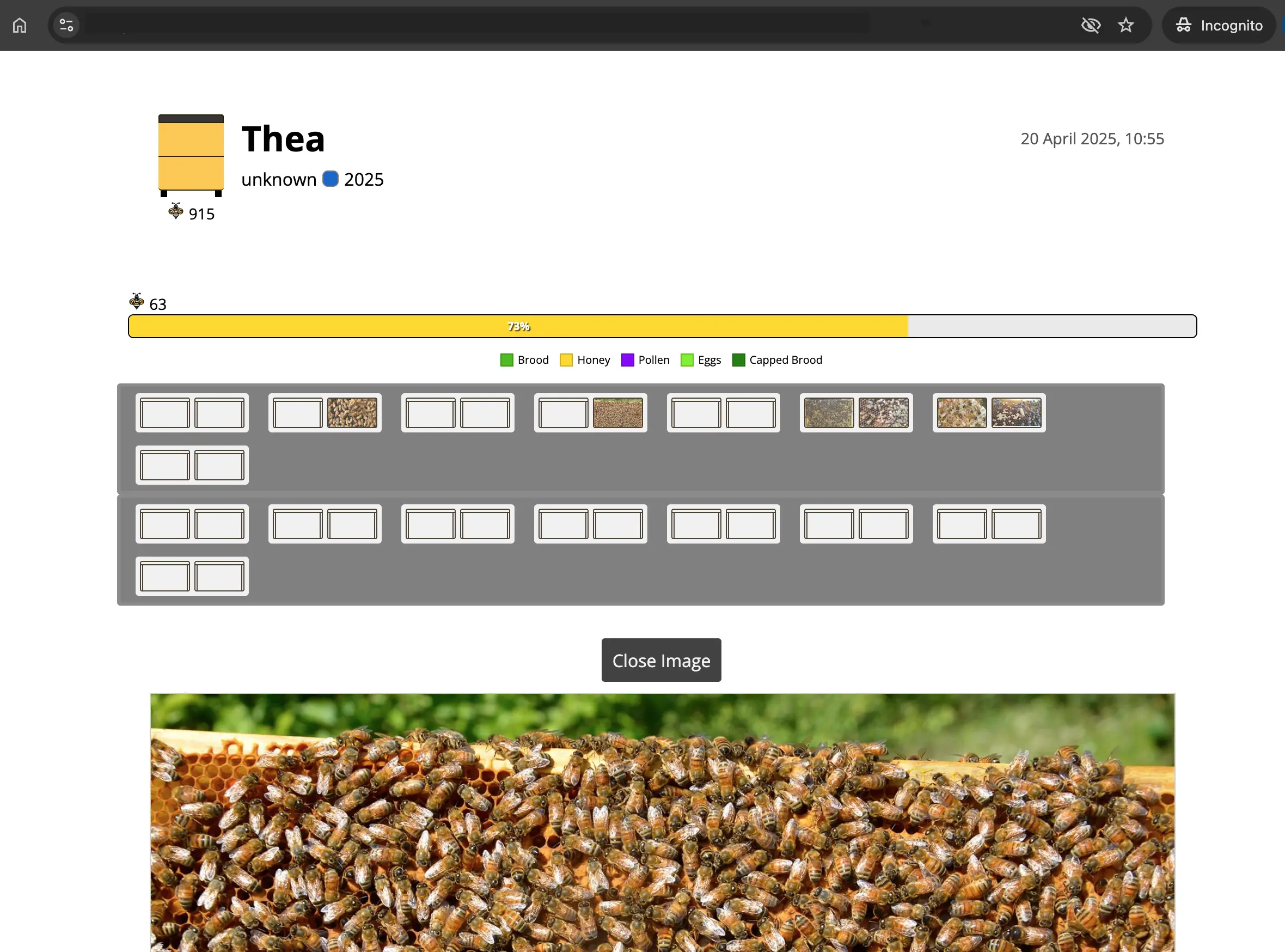 Public hive sharing